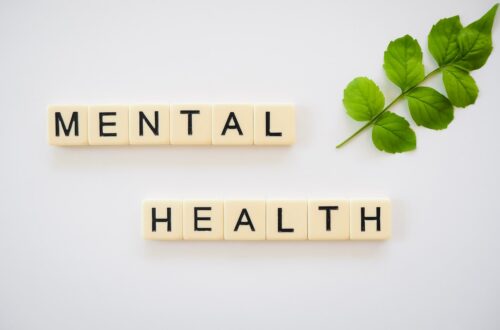 mental health care in germany english